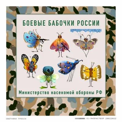 Насекомые европейской части России в энтомологическом магазине Naturaliste