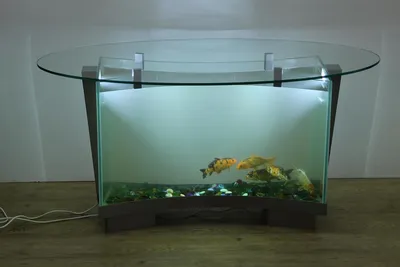 Купить Эксклюзивный аквариум для дома, офиса | Akva-Nara