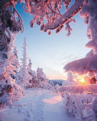 Красота природы зимой - 50 фото