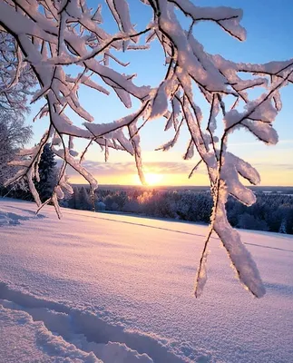 Красота природы зимой - 50 фото