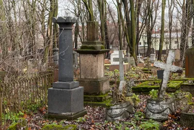 Под черной плитой Зачем петербурженка спасает бесхозные надгробия