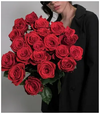 21 роза Нина под ленту (80 см) — купить в интернет-магазине по низкой цене  на Яндекс Маркете