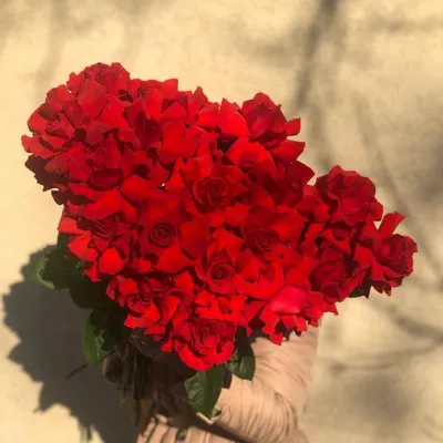 Алые розы сорта Нина купить в Азове - Заказать с доставкой недорого