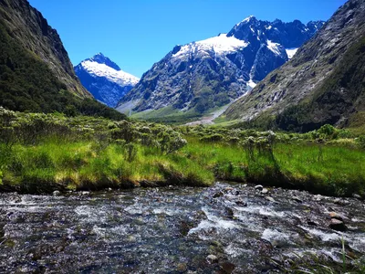 Новая Зеландия. Южный остров. Национальный парк Фьёрдленд. #4 | Пикабу