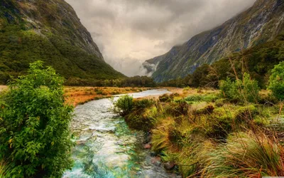 Богатый природный ландшафт Новой Зеландии | Обои для телефона