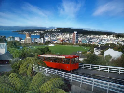 Веллингтон, Новая Зеландия - отдых, погода, отзывы туристов, фотографии |  RestBee.ru