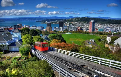 Обои лес, горы, город, дома, Новая Зеландия, панорама, and, стадион, вода.,  New Zeal, Wellington картинки на рабочий стол, раздел город - скачать