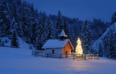Обои зима, лес, ночь, Природа, Пейзаж, часовня, новогодняя елка картинки на  рабочий стол, раздел пейзажи - скачать