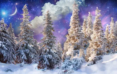 Волшебный новогодний лес - 130 фото