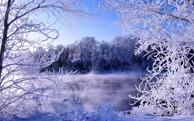 Новогодние заставки на рабочий стол и телефон - красивые зимние фотографии  природы и новые новогодние картинки