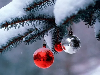 Новогодние шары на заснеженной ёлке - Зима - Природа - Картинки на рабочий  стол