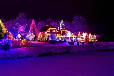 Новогодние гирлянды на домах и деревьях ночью | Обои для телефона