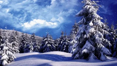 Зимняя природа. Природа зимой. Новогодний футаж. Зимний футаж. Красивый  футаж для видео. - YouTube