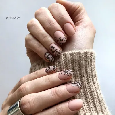 Дизайн ногтей 2020 маникюр матовый леопард | Manicure, Nails, Fingerless