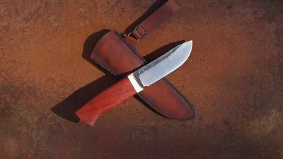 Шкуросъемный нож: виды клинков, критерии выбора и методы снятия шкур