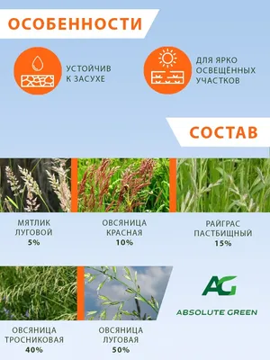 Семена газонных трав Абсолют Солнце, 10 кг. Absolute Green 74050010 купить  в интернет-магазине Wildberries