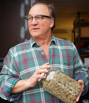 Актер Джеймс Белуши нашел себе занятие на пенсии и выращивает марихуану в  промышленных масштабах