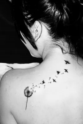 Значение тату одуванчик с птицами - крутые варианты татуировок на фото  (Dandelion Tattoo with birds) - YouTube