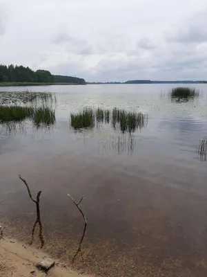 Где отдохнуть в Ровенской области: поездки на озера - rivne.name