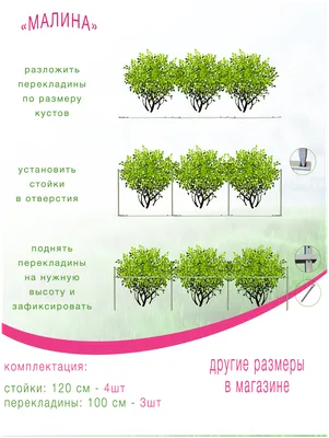 Опора металлическая для кустов Малины длина 300см высота 120см — купить в  интернет-магазине по низкой цене на Яндекс Маркете