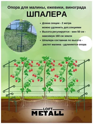 Шпалера для малины, опора для винограда и вьющихся растений, дополнительная  стойка, цена 3000 руб. купить в Алнашах