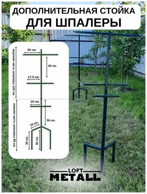 Шпалера для малины, опора для винограда и вьющихся растений, дополнительная  стойка — купить в интернет-магазине по низкой цене на Яндекс Маркете
