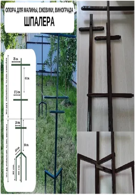 Шпалера садовая металлическая для растений (для сада) Тюльпан-2 зелёная  малая, труба d\u003d10мм., рисунок проволока 4мм., цена 430 руб. купить в  Измалково