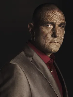 Обои Актер, Винни Джонс, Vinnie Jones картинки на рабочий стол, раздел  мужчины - скачать