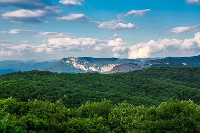 Еду на слёт крымских блогеров