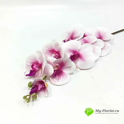 Купить орхидеи как живые: Орхидея \"Кимоно\" силикон (Лилово белая)