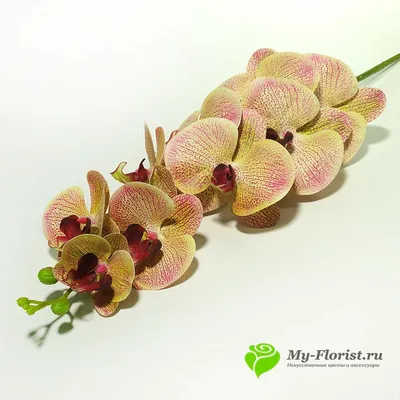 Купить Орхидею силикон КИМОНО 97 см. (Тигровая) My-Florist.ru