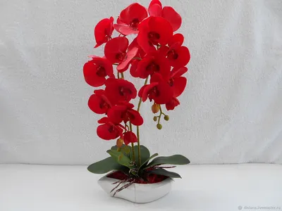 Композиции: Красная орхидея в белой лодочке – купить на Ярмарке Мастеров –  LZ9PORU | Композиции, Москва