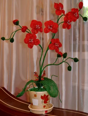 Красная орхидея | biser.info - всё о бисере и бисерном творчестве