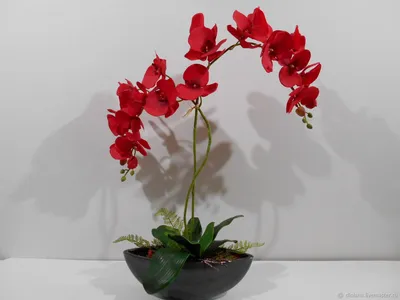 Композиция из искусственной красной орхидеи – купить на Ярмарке Мастеров –  E242TRU | Композиции, Москва
