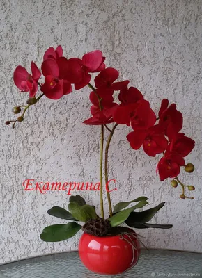 Орхидея фаленопсис Красная-2 2 ветки – заказать на Ярмарке Мастеров –  I8UDFBY | Композиции, Таганрог