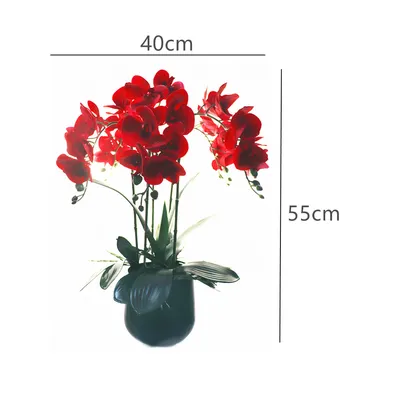 Орхидея красная («сделай сам» за 3 минуты), Цветочная композиция (Орхидея 5  шт. + 4 листа + ваза), 3D реалистичное прикосновение, украшение для офиса,  центральный элемент цвета индиго - купить по выгодной цене | AliExpress
