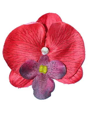 ᐉ Цветок в волосы Орхидея (красная) купить Гавайские костюмы и аксессуары в  Украине ➦ Цена на Товары для гавайской вечеринки в магазине ≡4party≡