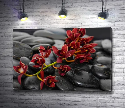 Картина \"Красная орхидея на спа-камнях\" | Интернет-магазин картин  \"АртФактор\"
