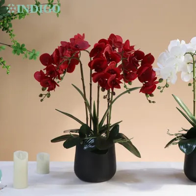Красная Орхидея Фаленопсис 70/78/90 см, 3D натуральные на ощупь лепестки,  украшение, свадебная бабочка, цветок, Цветочный, домашвечерние НКА-индиго -  купить по выгодной цене | AliExpress