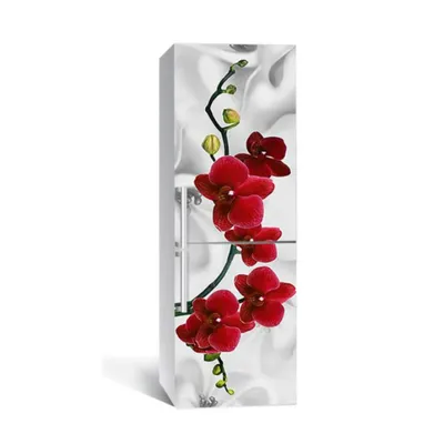 65х200 см, Наклейка на холодильник Красная орхидея шелк - Купить недорого,  цена, отзывы, фото