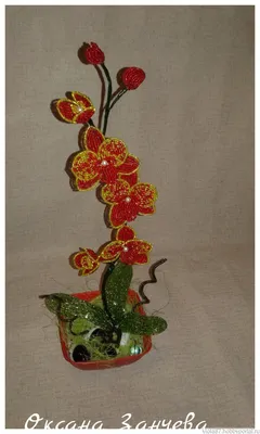Модульная картина \"Цветы, орхидея, красная орхидея, лоза орхидеи\