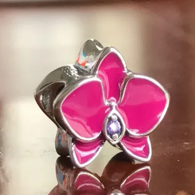 Подходит для Пандоры амулеты Браслеты бусины Орхидея с сияющей розовой  эмалью 100% 925 пробы серебряные ювелирные изделия Бесплатная доставка -  купить по выгодной цене | AliExpress