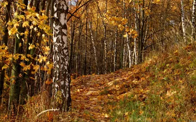 Осенние пейзажи: выходные сахалинцев в Instagram - SakhalinMedia