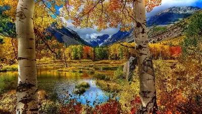 Обои Осенние пейзажи природы озеро, деревья, небо, отражение воды 1920x1200  HD Изображение
