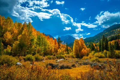 Осенний пейзаж фэнтези - 55 фото