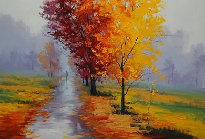 Красочные осенние пейзажи в лесу Стоковое Фото - изображение насчитывающей  разрывать, красивейшее: 158645592