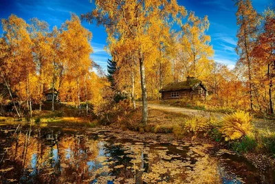 Осенние пейзажи на рабочий стол - 58 фото