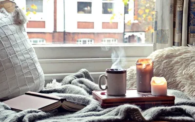 Уютные осенние тёплые свитера, планировщик, медный свет и пушистый котенок  расслабляются на кровати. - стоковое фото 1360969 | Crushpixel