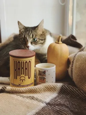 Осенний кот | Burlap bag, Tote bag, Reusable tote