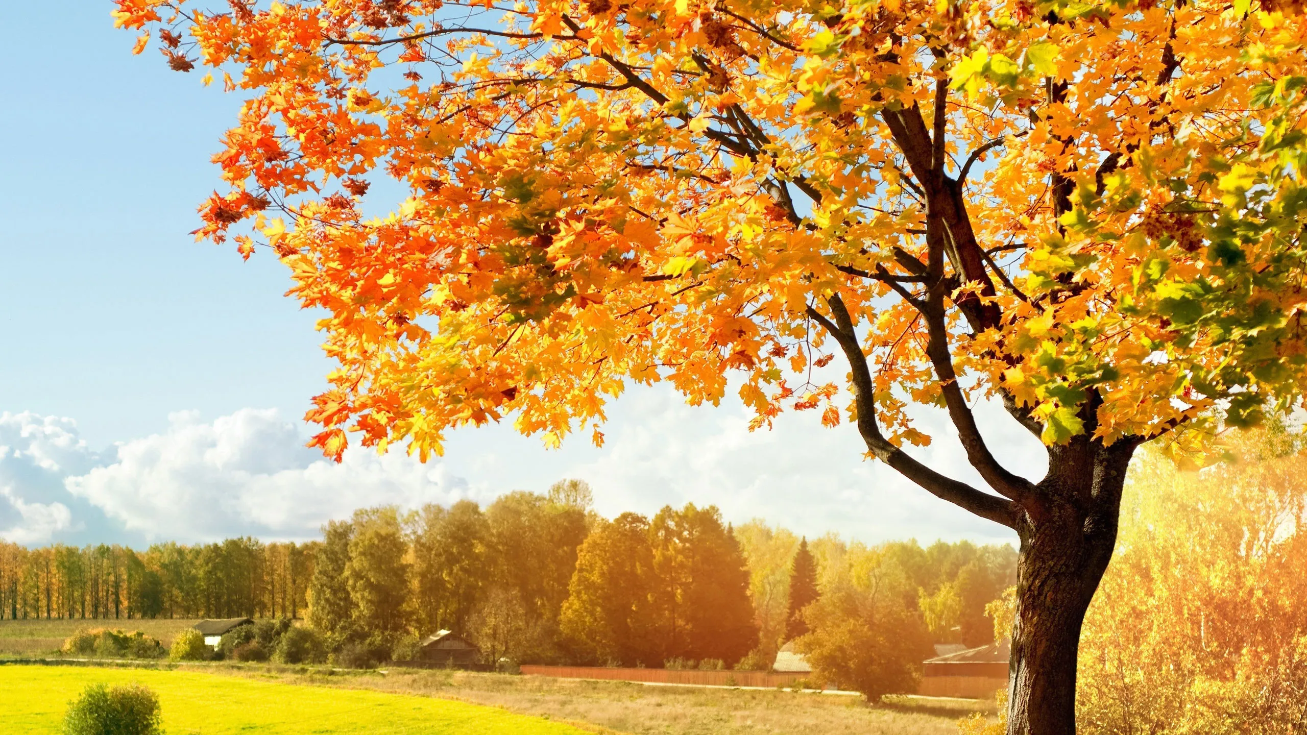 Куз н. Осенняя заставка на рабочий стол. Картинки на тему осень. Осень фото красивые. Заставка на рабочий стол природа осень.